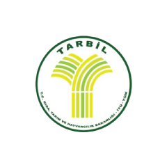 Tarbil